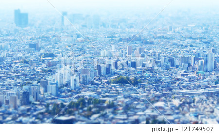 展望台から見た街並み　チルトシフト 121749507