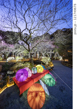 京王百草園 121749678