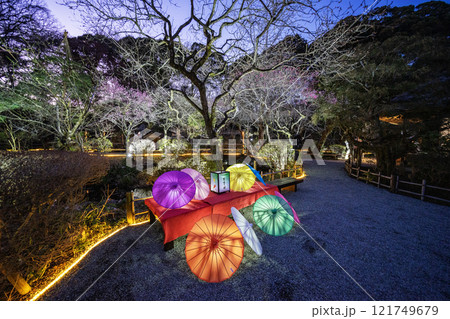 京王百草園 121749679