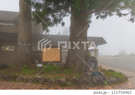 秋の立山黒部アルペンルート　霧の美女平　美女杉 121750462