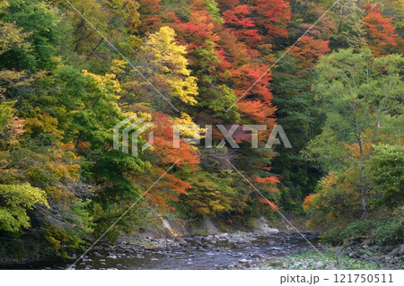 紅葉した山 紅葉した山 121750511