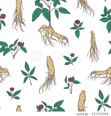 Ginseng root with steam, leaves and berries seamless pattern 121750768