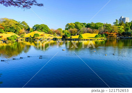 秋晴れを背景に美しい日本庭園 紅葉風景 水前寺成趣園(水前寺公園) 秋晴れを背景に美しい日本庭園 紅葉風景 水前寺成趣園(水前寺公園) 121752653