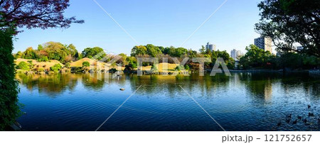 秋晴れを背景に美しい日本庭園　紅葉風景　水前寺成趣園（水前寺公園） 121752657