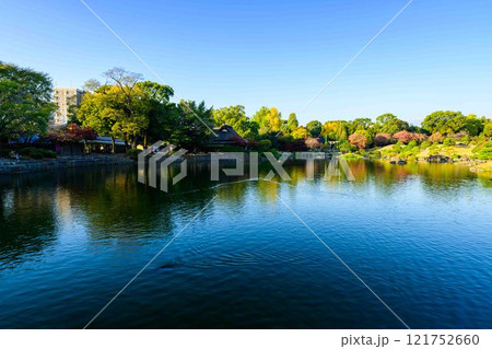 秋晴れを背景に美しい日本庭園 紅葉風景 水前寺成趣園(水前寺公園) 秋晴れを背景に美しい日本庭園 紅葉風景 水前寺成趣園(水前寺公園) 121752660