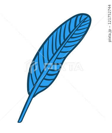 Bright blue bird feather lies on a white background, showcasing its intricate details and texture. 121752744