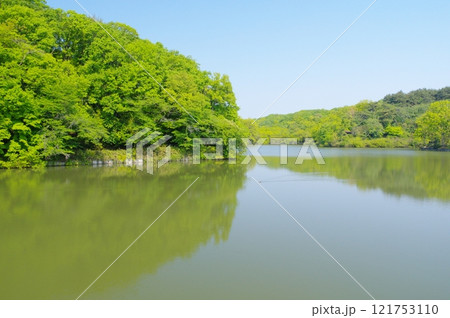 春の吉見町・八丁湖 春の吉見町・八丁湖 121753110