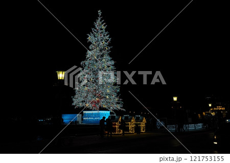 冬の夜の函館　金森赤レンガ倉庫前のクリスマスツリー 121753155