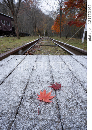 雪と紅葉 121753166