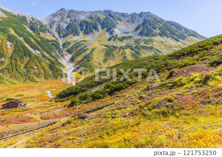 秋の立山黒部アルペンルート 紅葉の雷鳥沢 秋の立山黒部アルペンルート 紅葉の雷鳥沢 121753250