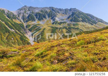 秋の立山黒部アルペンルート　紅葉の雷鳥沢 121753256