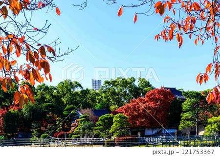 秋晴れを背景に映える秋の日本庭園風景「旧細川刑部邸」竹あかり　限定公開　熊本市 121753367