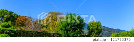 秋晴れを背景に映える秋の日本庭園風景「旧細川刑部邸」竹あかり 限定公開 熊本市 秋晴れを背景に映える秋の日本庭園風景「旧細川刑部邸」竹あかり 限定公開 熊本市 121753370