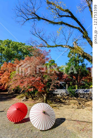 秋晴れを背景に映える秋の日本庭園風景「旧細川刑部邸」竹あかり　限定公開　熊本市 121753399
