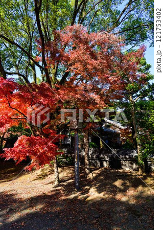 秋晴れを背景に映える秋の日本庭園風景「旧細川刑部邸」竹あかり 限定公開 熊本市 秋晴れを背景に映える秋の日本庭園風景「旧細川刑部邸」竹あかり 限定公開 熊本市 121753402
