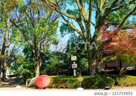 秋晴れを背景に映える秋の日本庭園風景「旧細川刑部邸」竹あかり 限定公開 熊本市 秋晴れを背景に映える秋の日本庭園風景「旧細川刑部邸」竹あかり 限定公開 熊本市 121753655