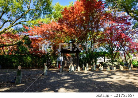 秋晴れを背景に映える秋の日本庭園風景「旧細川刑部邸」竹あかり 限定公開 熊本市 秋晴れを背景に映える秋の日本庭園風景「旧細川刑部邸」竹あかり 限定公開 熊本市 121753657