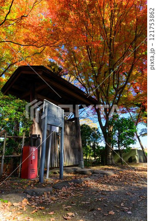 秋晴れ光芒を背景に紅葉映える日本庭園風景「旧細川刑部邸」竹あかり　限定公開　熊本市 121753862