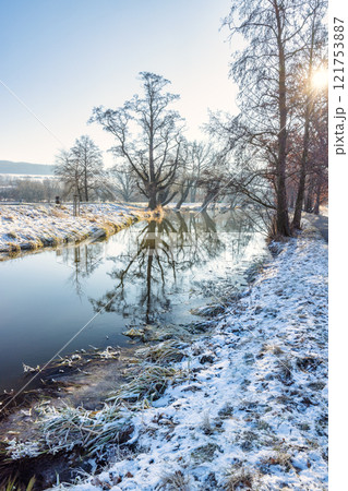 Winter snowy country with reflections of trees in a water at a sunny day. Region Pilsen in Czech Republic, Europe. 121753887