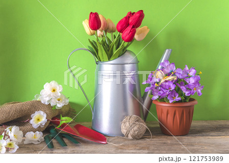 Spring gardening concept: watering can with bouquet of tulips, gardening equipment and red rubber boots on wooden table and green background Spring gardening concept: watering can with bouquet of tulips, gardening equipment and red rubber boots on wooden table and green background 121753989