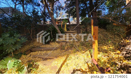 目黒富士登山道 目黒富士登山道 121754001