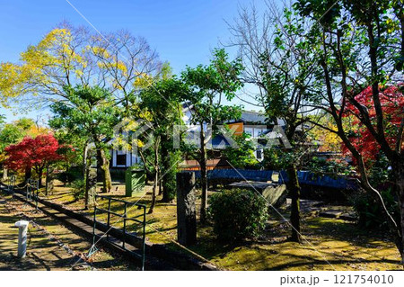 秋晴れ光芒を背景に映える秋の日本庭園風景「旧細川刑部邸」竹あかり 限定公開 熊本市 秋晴れ光芒を背景に映える秋の日本庭園風景「旧細川刑部邸」竹あかり 限定公開 熊本市 121754010