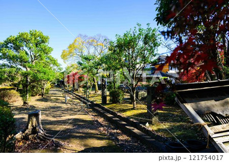 秋晴れ光芒を背景に映える秋の日本庭園風景「旧細川刑部邸」竹あかり 限定公開 熊本市 秋晴れ光芒を背景に映える秋の日本庭園風景「旧細川刑部邸」竹あかり 限定公開 熊本市 121754017