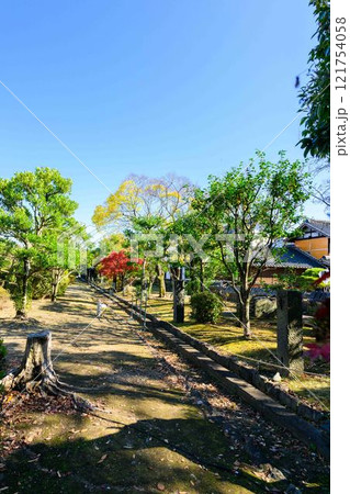 秋晴れ光芒を背景に映える秋の日本庭園風景「旧細川刑部邸」竹あかり　限定公開　熊本市 121754058