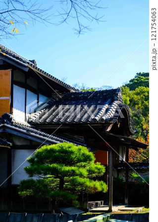 秋晴れ光芒を背景に映える秋の日本庭園風景「旧細川刑部邸」竹あかり 限定公開 熊本市 秋晴れ光芒を背景に映える秋の日本庭園風景「旧細川刑部邸」竹あかり 限定公開 熊本市 121754063