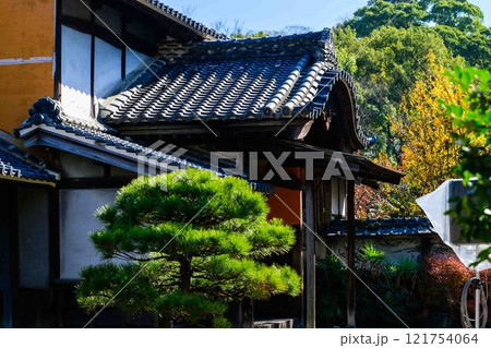 秋晴れ光芒を背景に映える秋の日本庭園風景「旧細川刑部邸」竹あかり　限定公開　熊本市 121754064