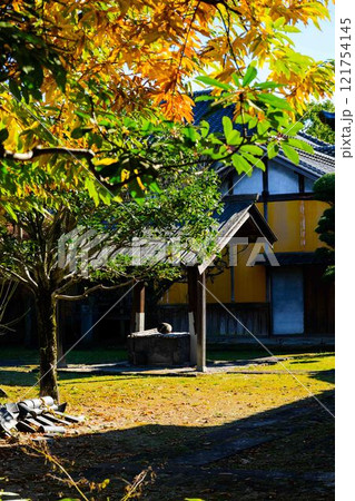 秋晴れ光芒を背景に映える秋の日本庭園風景「旧細川刑部邸」竹あかり 限定公開 熊本市 秋晴れ光芒を背景に映える秋の日本庭園風景「旧細川刑部邸」竹あかり 限定公開 熊本市 121754145