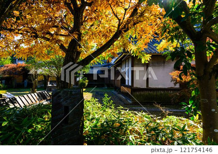秋晴れ光芒を背景に映える秋の日本庭園風景「旧細川刑部邸」竹あかり　限定公開　熊本市 121754146