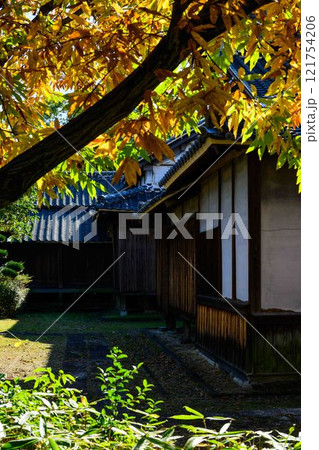 秋晴れ光芒を背景に映える秋の日本庭園風景「旧細川刑部邸」竹あかり　限定公開　熊本市 121754206
