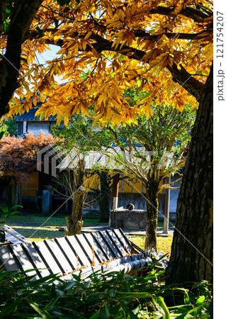 秋晴れ光芒を背景に映える秋の日本庭園風景「旧細川刑部邸」竹あかり　限定公開　熊本市 121754207