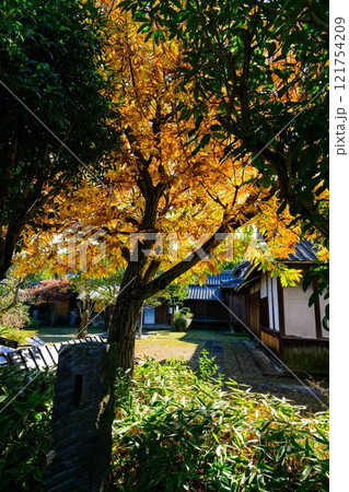 秋晴れ光芒を背景に映える秋の日本庭園風景「旧細川刑部邸」竹あかり　限定公開　熊本市 121754209