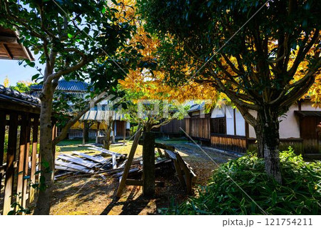 秋晴れ光芒を背景に映える秋の日本庭園風景「旧細川刑部邸」竹あかり　限定公開　熊本市 121754211