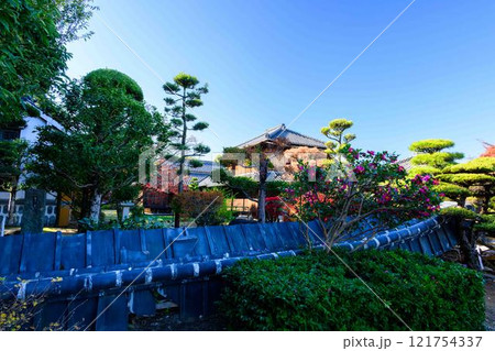 秋晴れ光芒を背景に映える秋の日本庭園風景「旧細川刑部邸」竹あかり 限定公開 熊本市 秋晴れ光芒を背景に映える秋の日本庭園風景「旧細川刑部邸」竹あかり 限定公開 熊本市 121754337