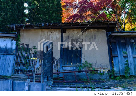 秋晴れ光芒を背景に映える秋の日本庭園風景「旧細川刑部邸」竹あかり 限定公開 熊本市 秋晴れ光芒を背景に映える秋の日本庭園風景「旧細川刑部邸」竹あかり 限定公開 熊本市 121754454