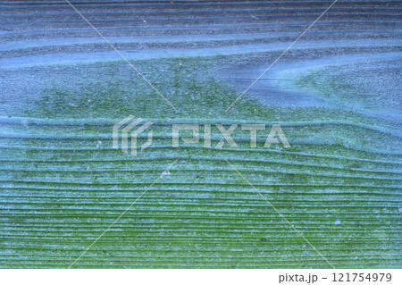 歴史ある壁「旧細川刑部邸」竹あかり　限定公開　熊本市 121754979