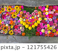 カラフルな花手水 121755426