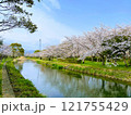 青空に映える満開の桜 121755429