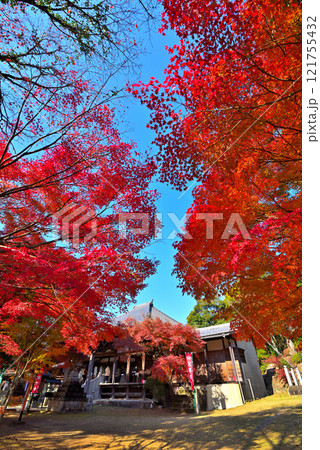 《愛知県》秋の犬山市寂光院の紅葉 《愛知県》秋の犬山市寂光院の紅葉 121755432