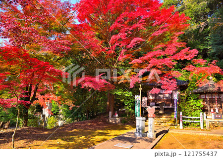 《愛知県》秋の犬山市寂光院の紅葉 121755437