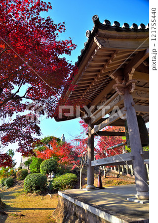 《愛知県》秋の犬山市寂光院の紅葉 121755440