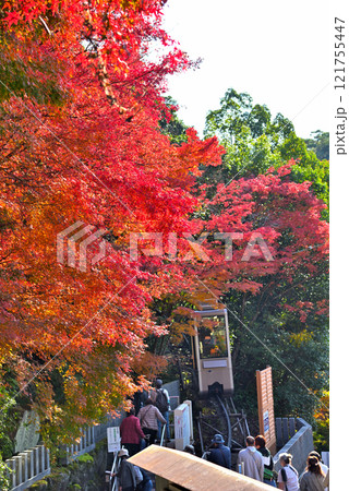 《愛知県》秋の犬山市寂光院の紅葉 《愛知県》秋の犬山市寂光院の紅葉 121755447