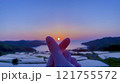 綺麗な夕日に照らされた棚田 121755572
