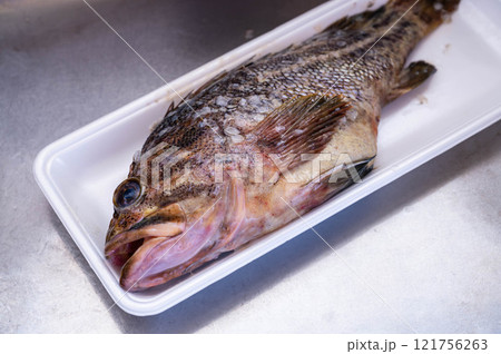 クロソイ 121756263