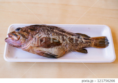 クロソイ 121756266