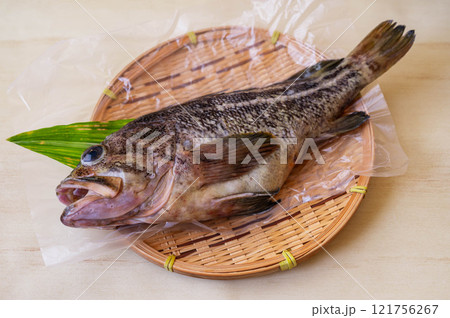 笊の上のクロソイ 笊の上のクロソイ 121756267