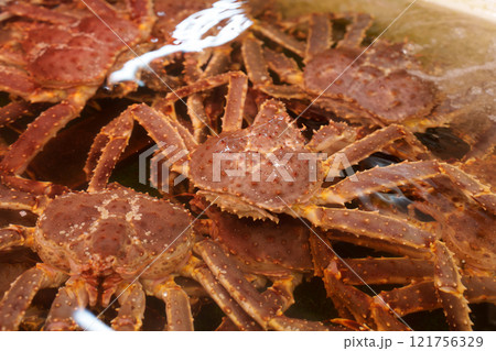 タラバガニ 121756329